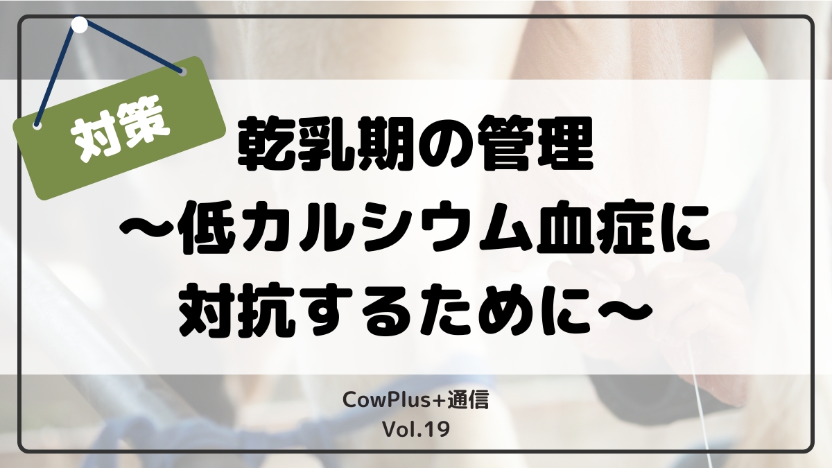 乾乳期の牛の管理 〜低カルシウム血症に対抗するために〜